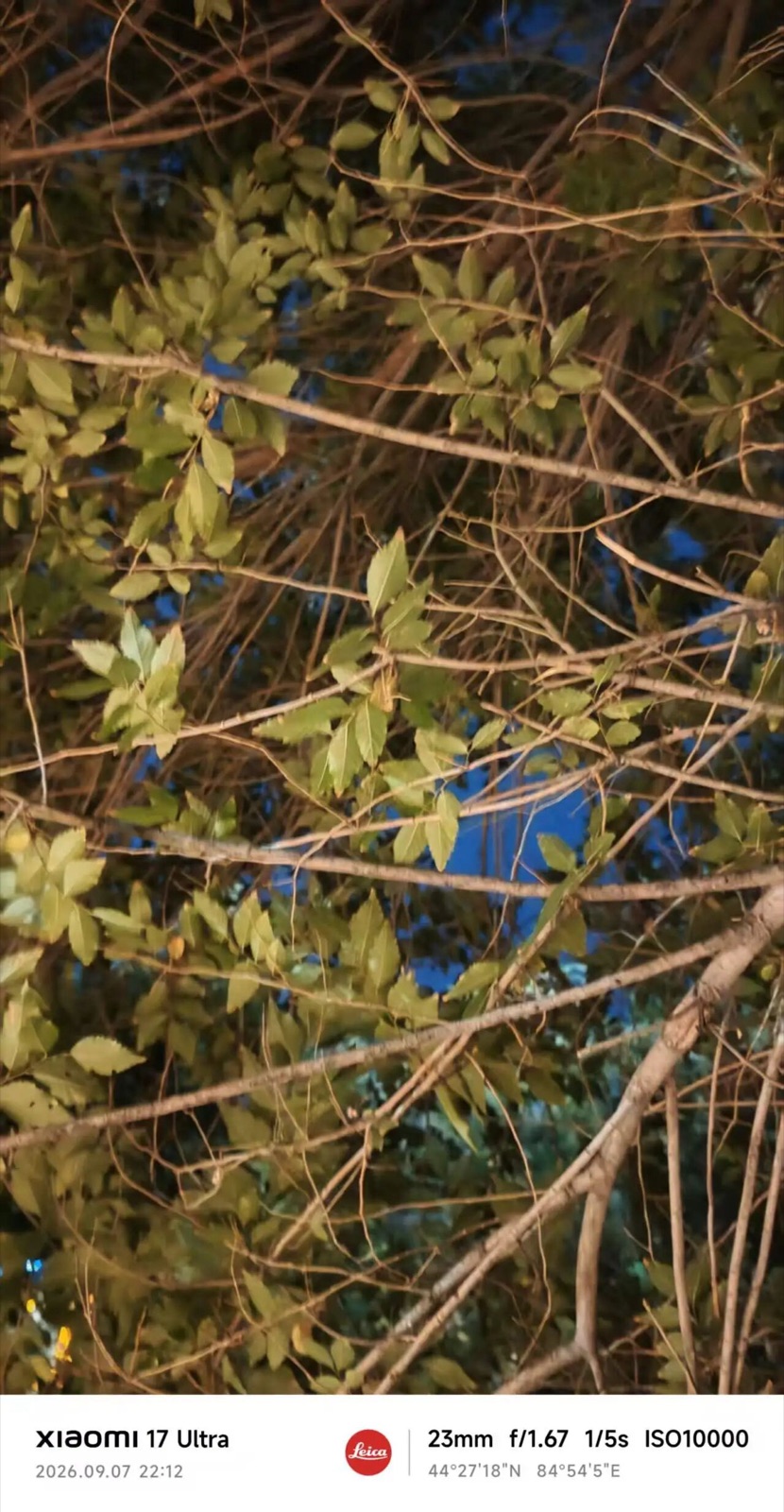 生活照片 9