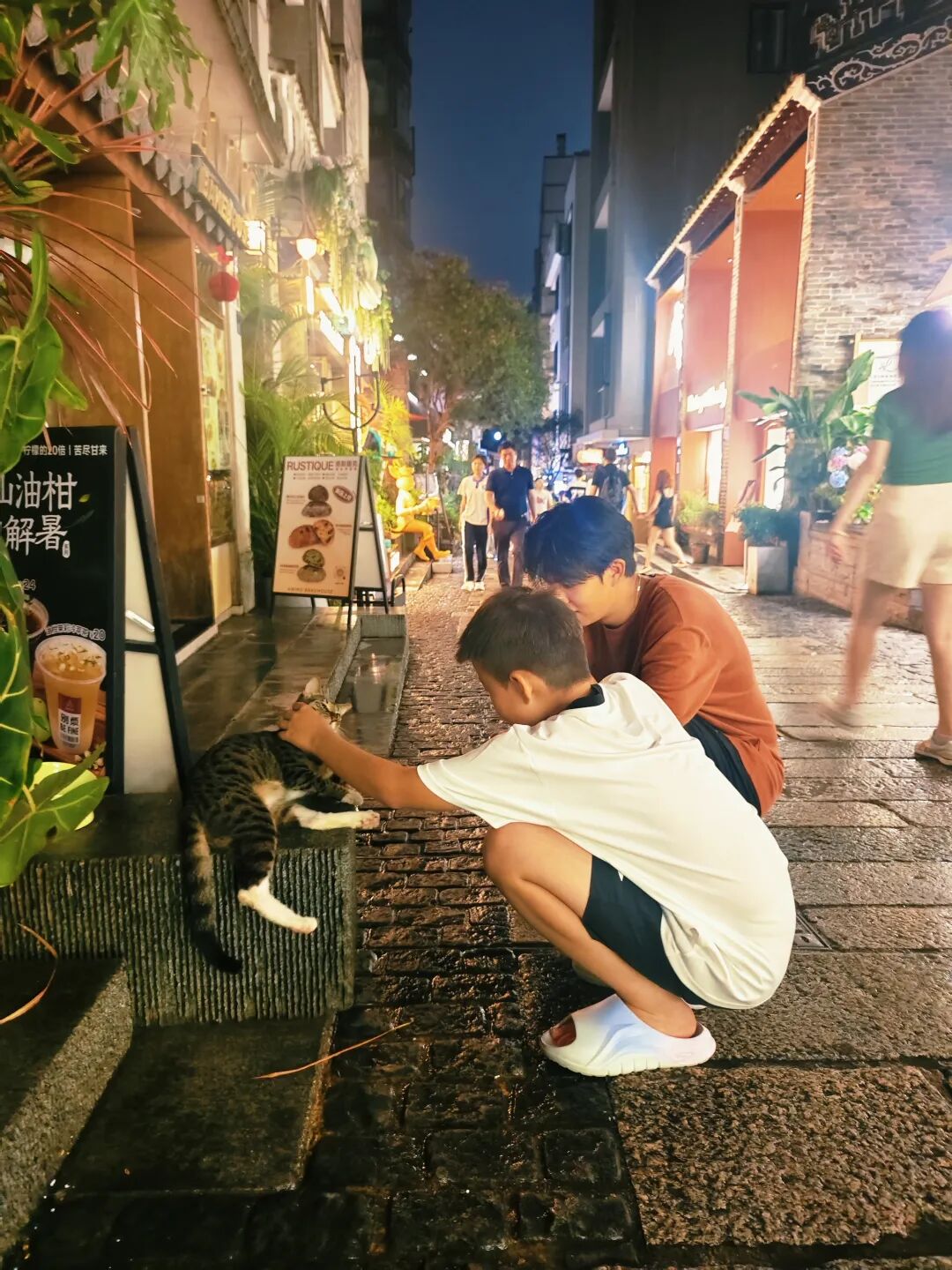 深圳街头,发现一只猫咪的两宝,我们会,时常一起出发,一起去感受,这个美好的世界。