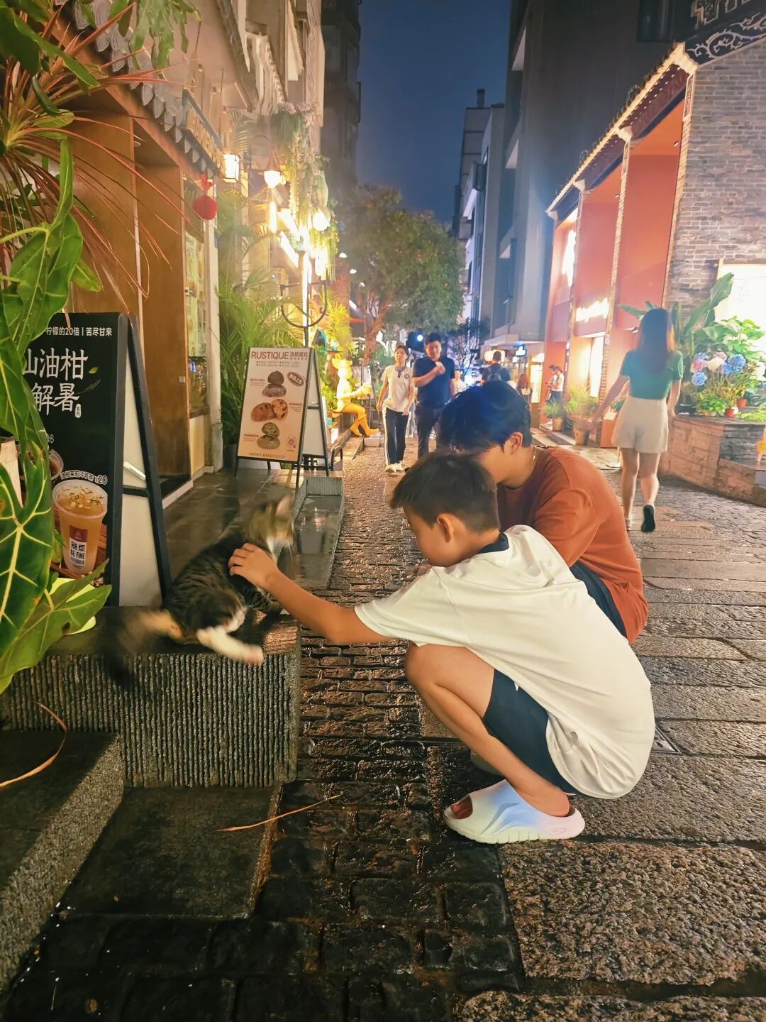 两个孩子在街边看小动物